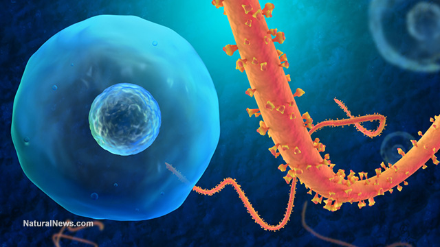 Ebola outbreak